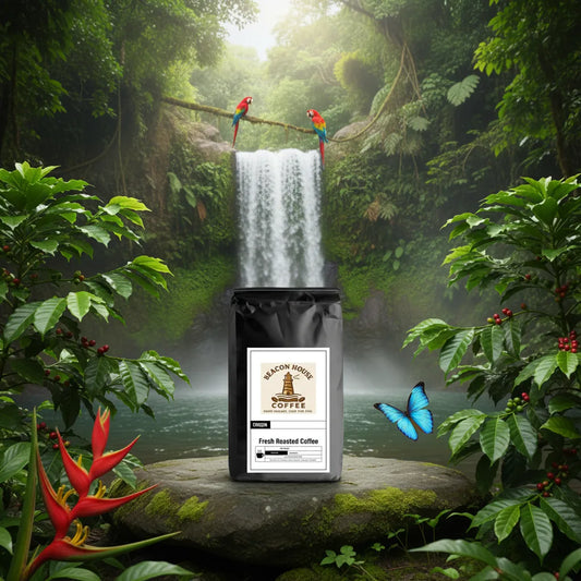 What We Love About Costa Rica Coffee